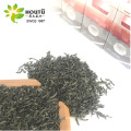 China green tea the vert de chine west africa sahara tea chunmee 4011